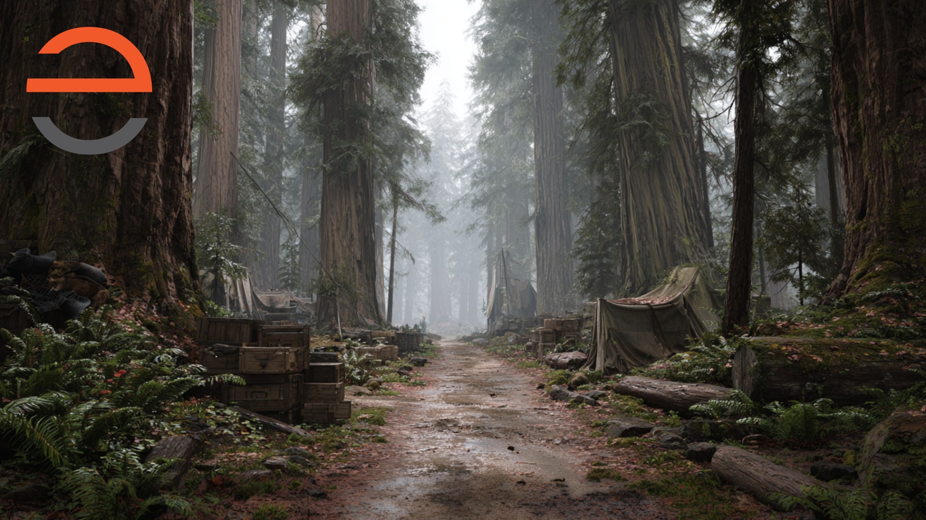 Towering redwood forest projected as theatrical scenery - a test scene in a real venue